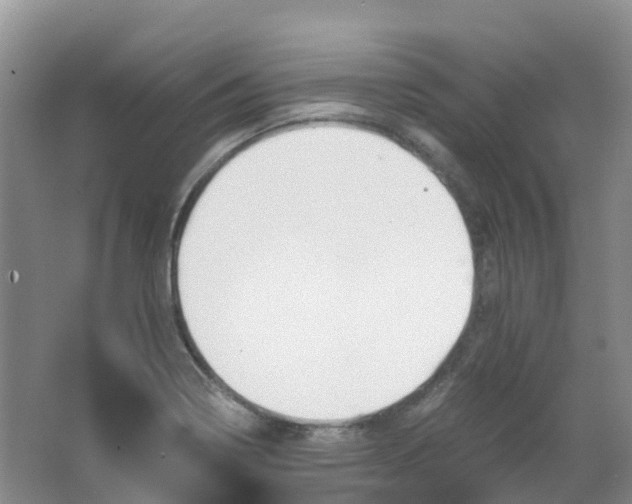 X0000062931322200601271822