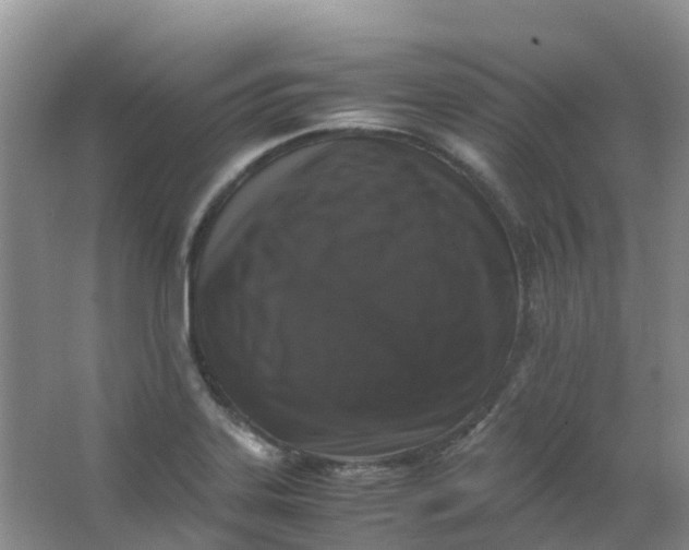 X0000062931323200601271822