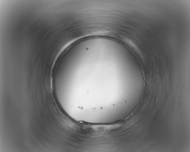 X0000062931324200601271822