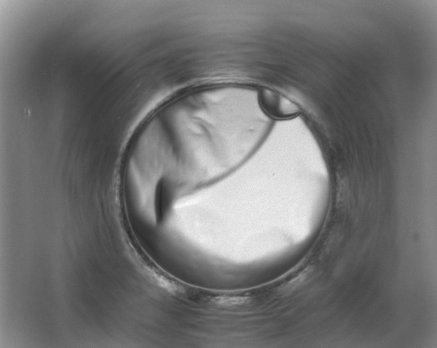 X0000062931325200601271822