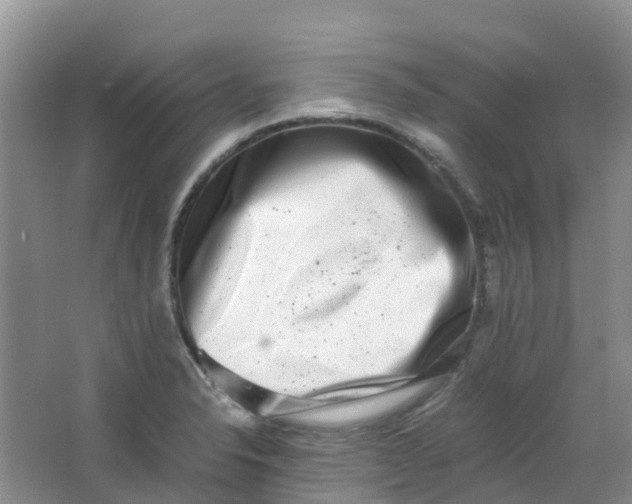 X0000062931326200601271822