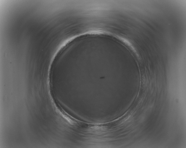 X0000062931327200601271822