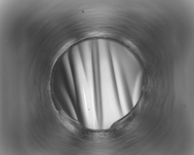 X0000062931330200601271822