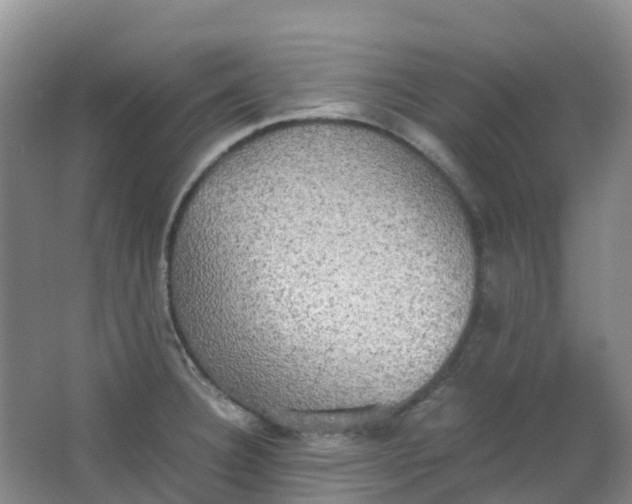 X0000062931332200601271822