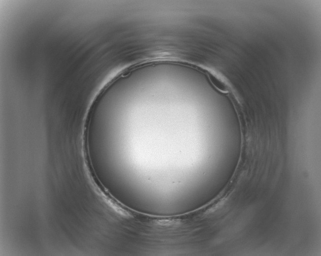 X0000062931333200601271822