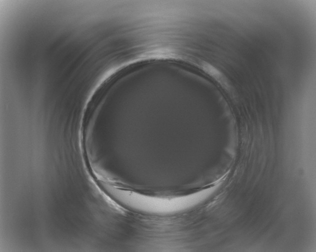 X0000062931334200601271822