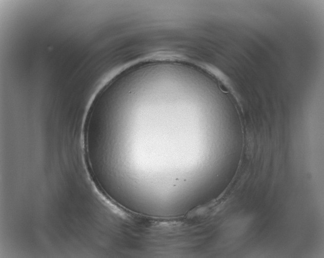 X0000062931335200601271822