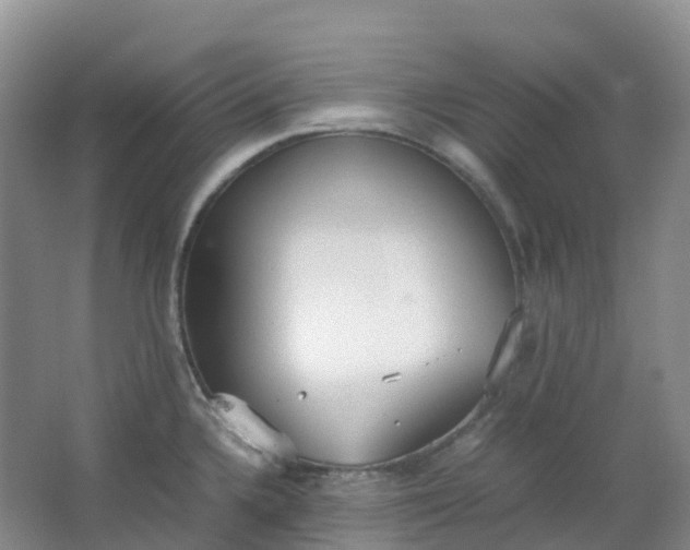 X0000062931336200601271822