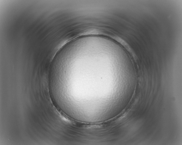 X0000062931337200601271822