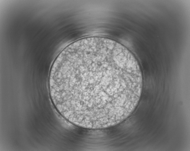 X0000062931338200601271822