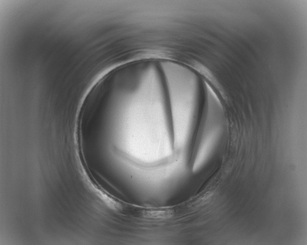 X0000062931339200601271822