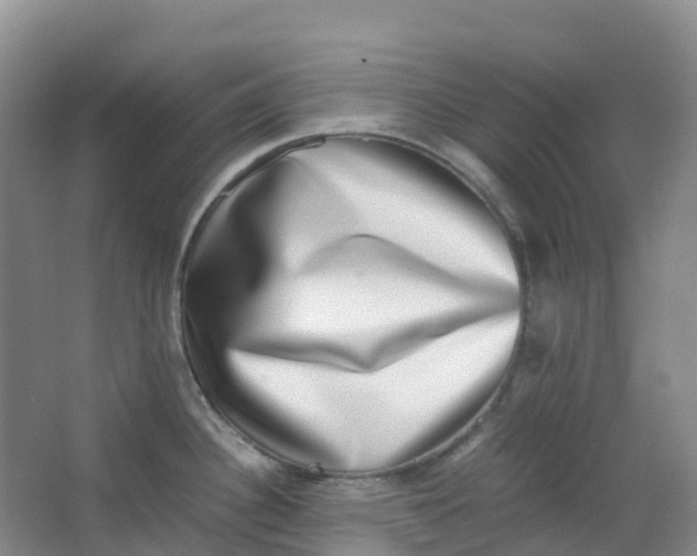 X0000062931340200601271822