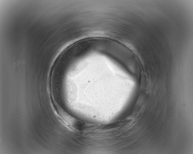 X0000062931342200601271822