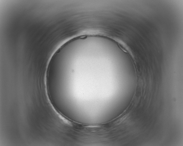 X0000062931343200601271822