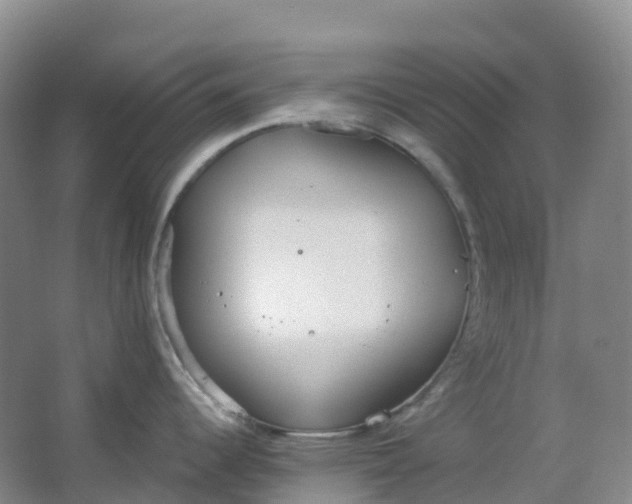 X0000062931344200601271822