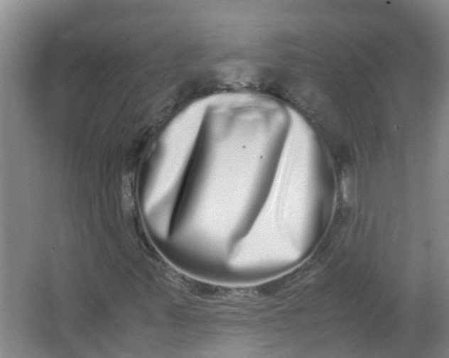 X0000062931347200601271821