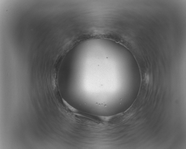 X0000062931348200601271821