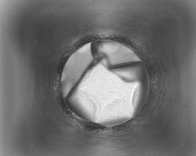 X0000062931349200601271821