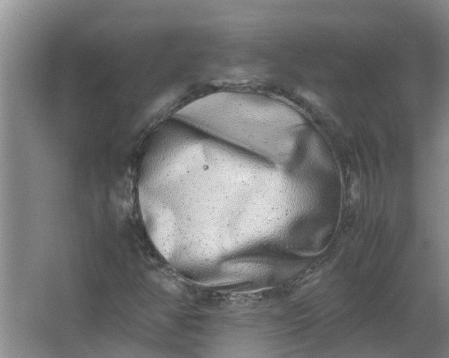 X0000062931350200601271821