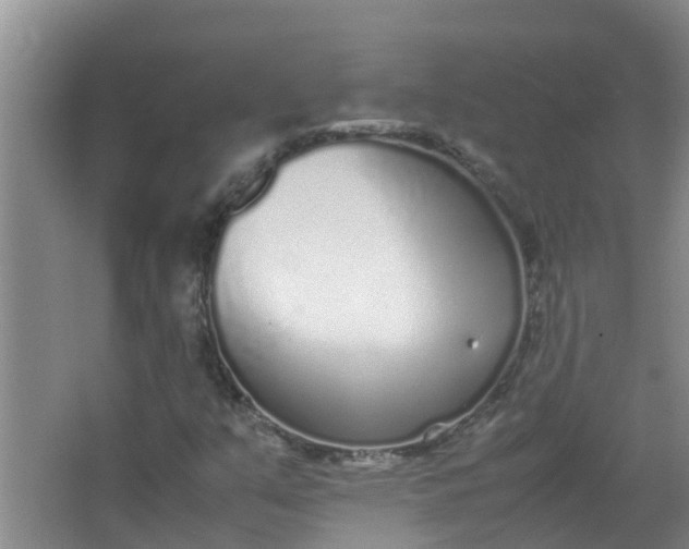 X0000062931351200601271821