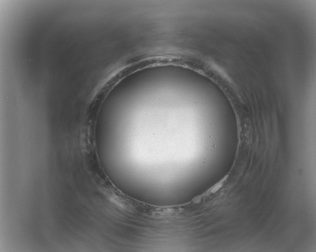 X0000062931352200601271821