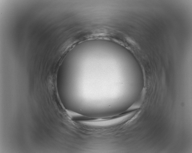 X0000062931353200601271821