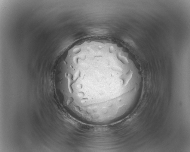 X0000062931354200601271821