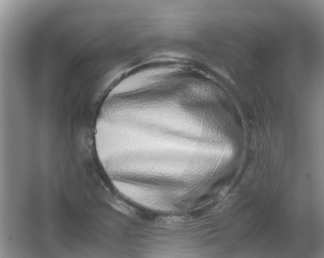 X0000062931355200601271821