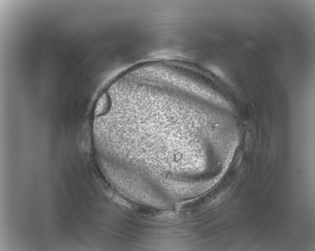 X0000062931358200601271821