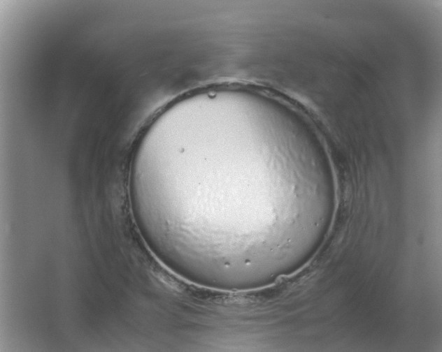 X0000062931359200601271821