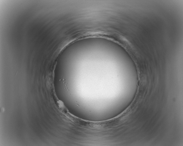 X0000062931361200601271821