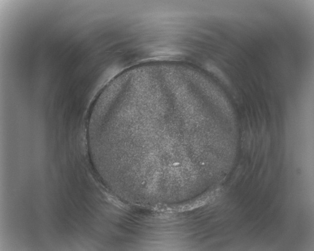 X0000062931362200601271821