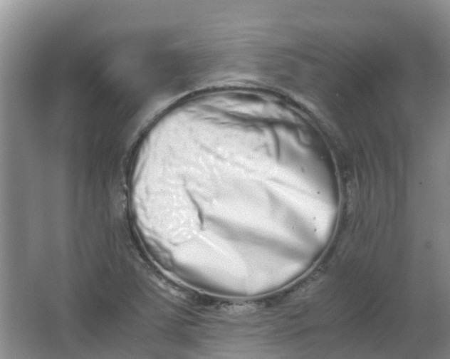 X0000062931363200601271821