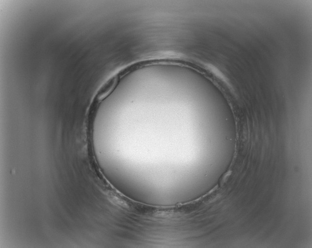 X0000062931364200601271821