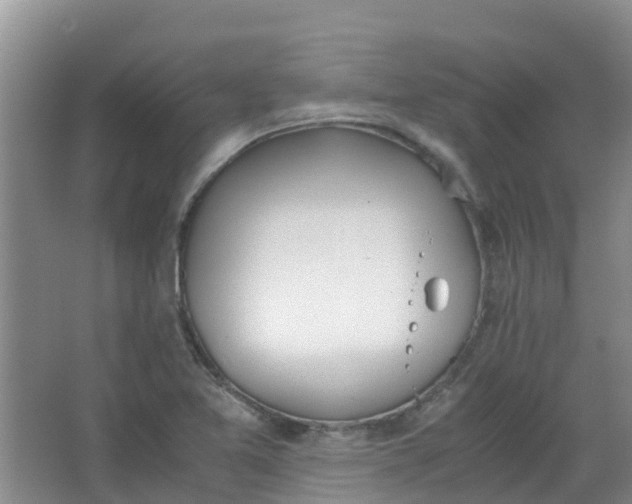 X0000062931365200601271821