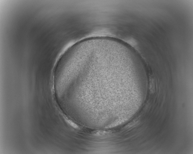 X0000062931366200601271821