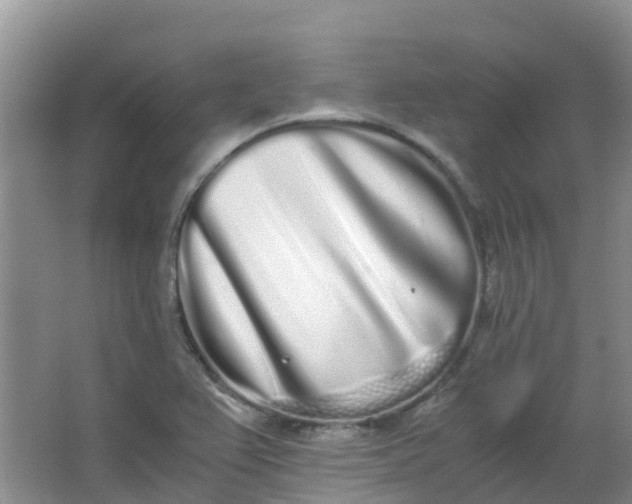 X0000062931367200601271821