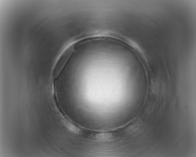 X0000062931368200601271821