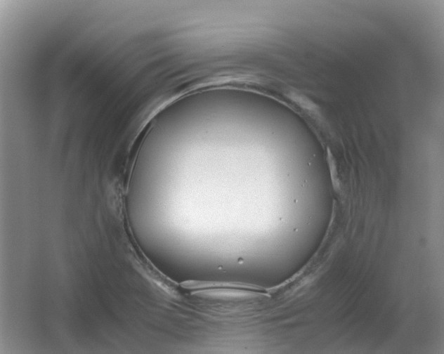 X0000062931369200601271821