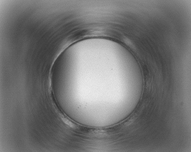 X0000062931370200601271821