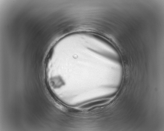 X0000062931371200601271821