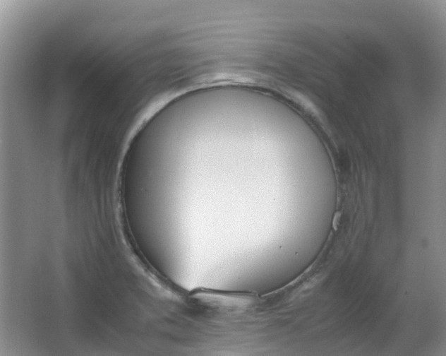 X0000062931373200601271821