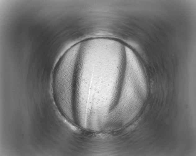 X0000062931374200601271821