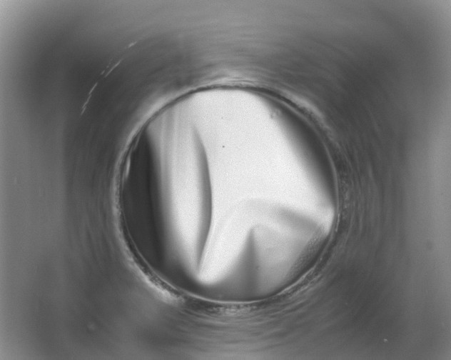 X0000062931375200601271821