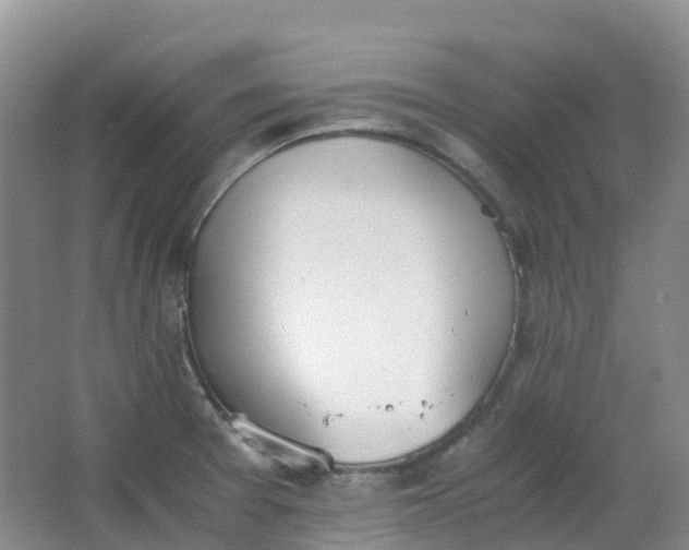 X0000062931377200601271821