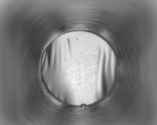 X0000062931378200601271821