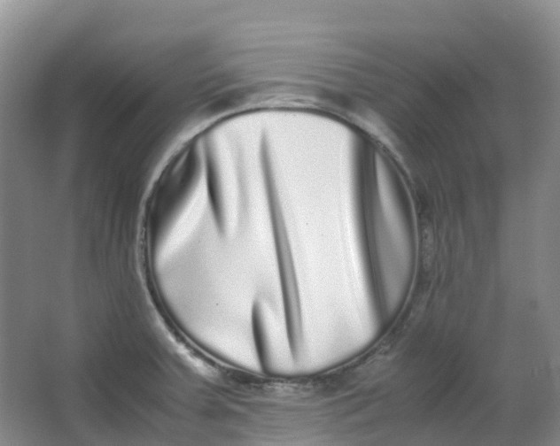 X0000062931379200601271821