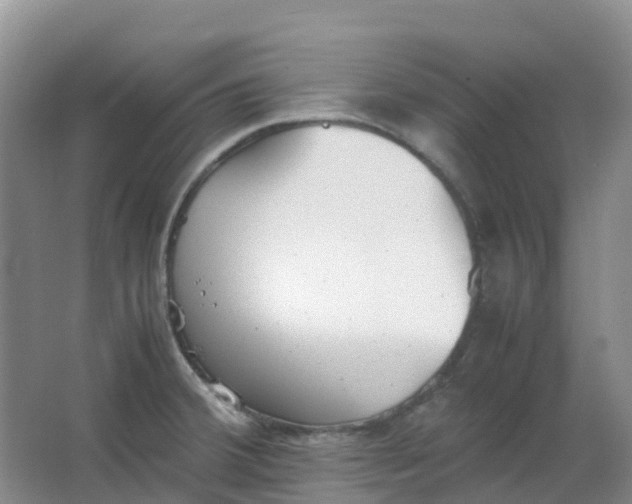 X0000062931380200601271821