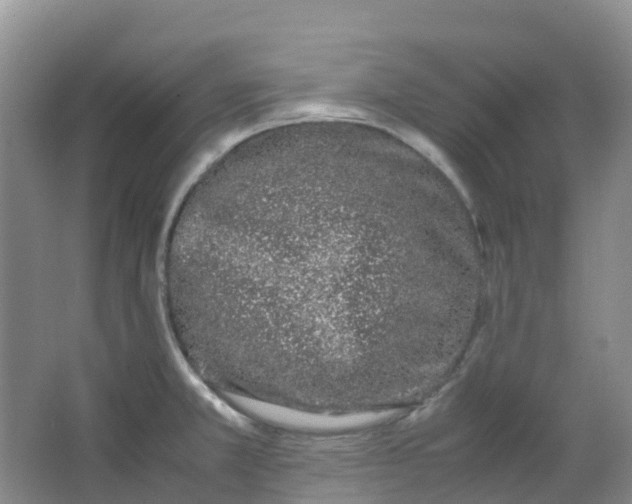 X0000062931381200601271821