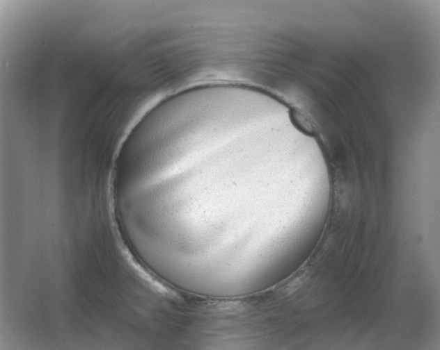 X0000062931382200601271821